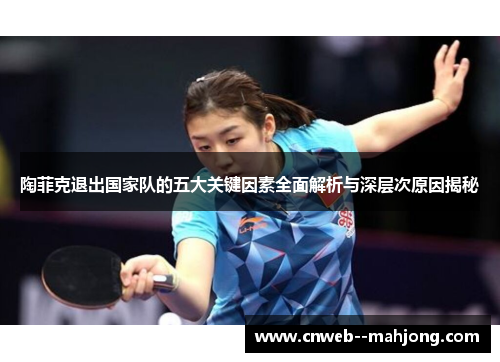 陶菲克退出国家队的五大关键因素全面解析与深层次原因揭秘